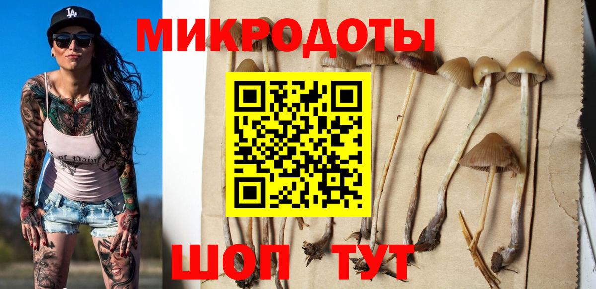 Галлюциногенные грибы Cubensis  Вход с VPN  Лысьва  Псилоцибиновые грибы Psilocybine cubensis 